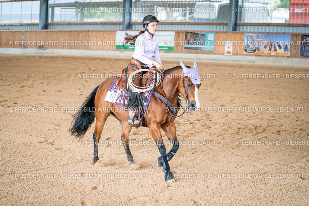 DSC09323 | Pferdegrafie