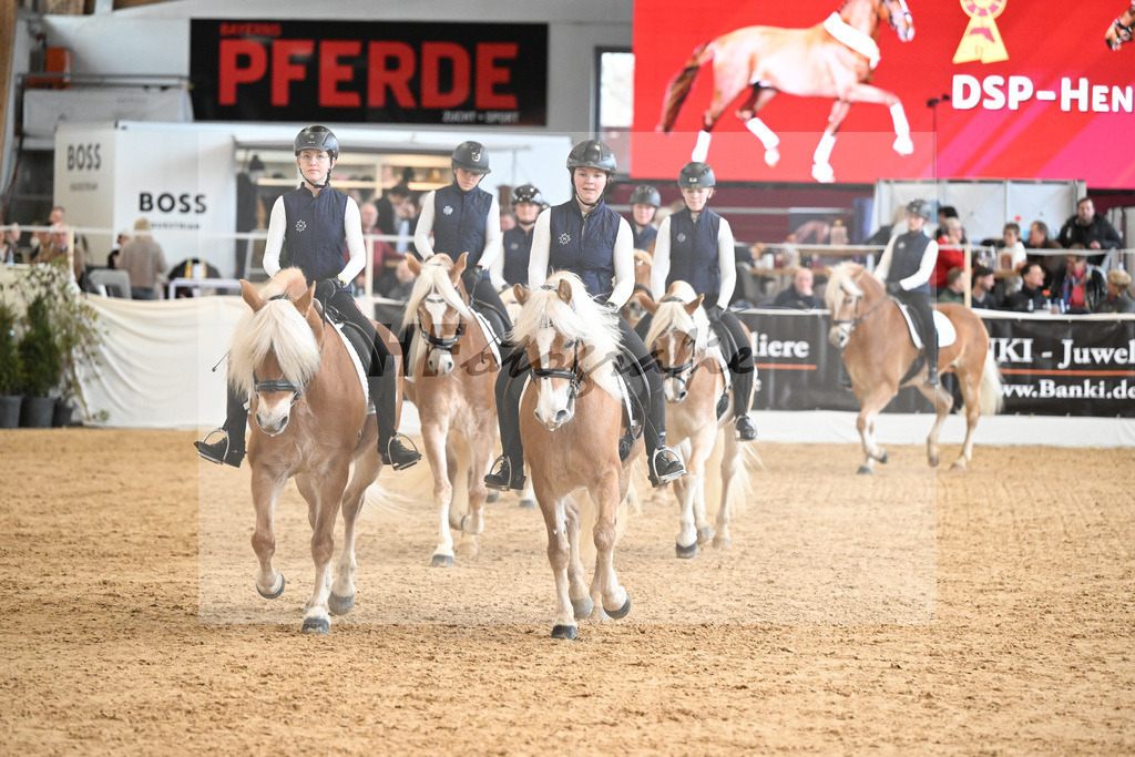 Schauprogramm Haflinger Quadrille_2251520 | hf-fotografie - Realisiert mit Pictrs.com