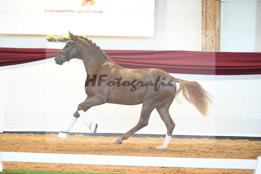 Kat-Nr. 74 v. Le Formidable_Maier_66220348 | hf-fotografie - Realisiert mit Pictrs.com