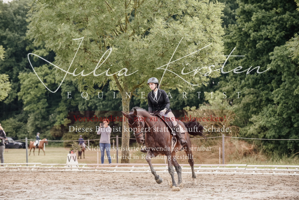 DSC_8640 | Pferde- und Turnierfotografie in Westsachsen. Pferdeportraits, Auftragszeichnungen und intuitive Kunst.