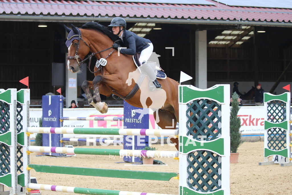 DL2Q0795 | Willkommen bei Brunnmayr - Design & Fotografie – Ihrem Spezialisten für Reitturniere und Pferdeveranstaltungen in Oberösterreich, Salzburg und Bayern! Seit über 17 Jahren sind wir leidenschaftlich dabei.