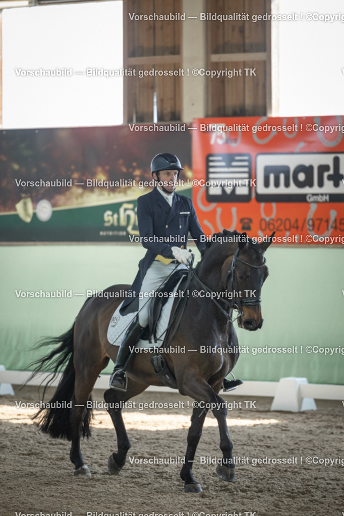 _D5A9598 | Emotionale Pferde- & People-Fotografie rund um Heidelberg, Leimen & Umgebung. Natürliche Fotos von Pferd, Mensch & Familie. Jetzt Termin sichern!