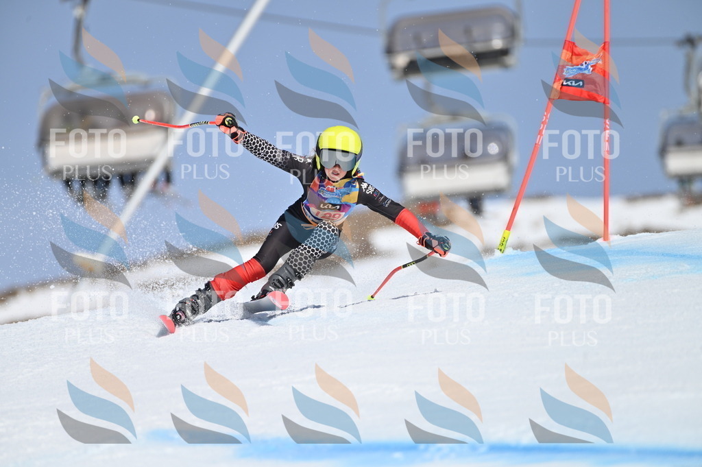 BGV_9963 | holidayphoto