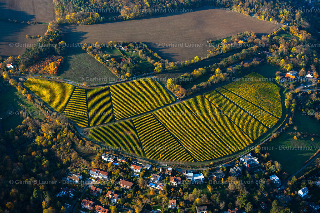 4042234 | Weinberge zw. Johannisweg u. Spitalweg, Würzburg