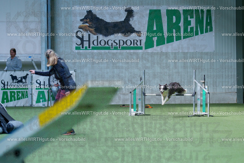 @allesWIRTHgut_Tierfotografie - www.allesWIRTHgut.de - 2604251353-7R504236 | Professionelle Tierfotografie in Mönchengladbach von Daniel Wirth (allesWIRTHgut). Liebevolle & natürliche Bilder von Hunden & Katzen für unvergessliche Erinnerungen.