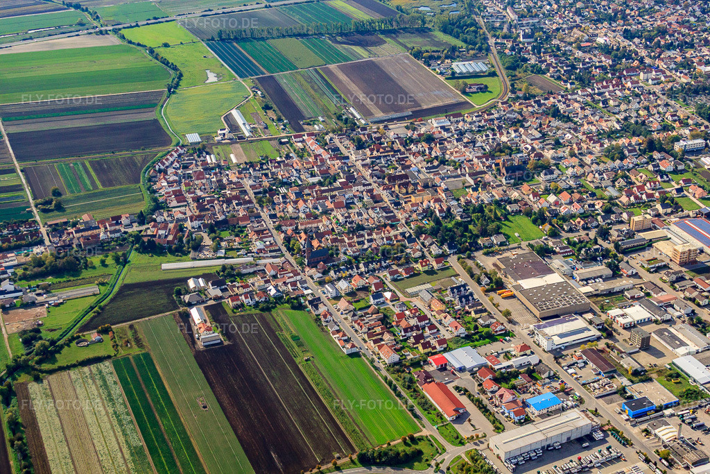 Luftbild: Mittelstr in Maxdorf im Bundesland Rheinland-Pfalz in Deutschland. Foto: IMG_34427.jpg vom 03.10.2010 durch Werner Riehm/FLY-FOTO.de