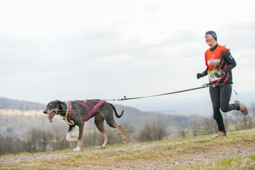 CaniXRunSA-170 | stephaniefillaphotographie - Realisiert mit Pictrs.com