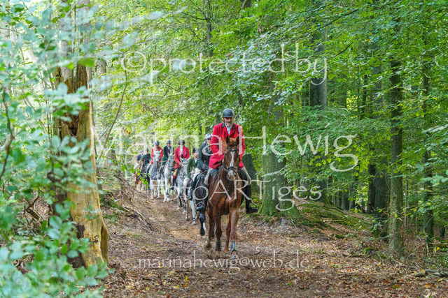 Jagd Perdoel_MarinaHewigMCH04765 | Fotografie, FotoArt, PferdesportArt, Pferdesportfotografie, Landschaftsfotografie, Reisefotografie, Reise, Pferde - Realisiert mit Pictrs.com