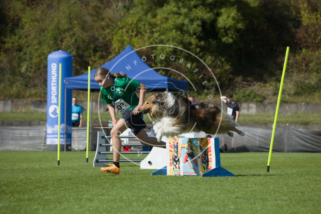 0L8A7322 | Hundefotografie, Tierfotograf, Pfotenfotografie, Fotoshooting Hund, Hunde Portrait, Hundesport, Hundeportraits, Heideshooting, Hunde, Sportfotograf, Hundefotograf, Turnierhundsport, THS,  - Realisiert mit Pictrs.com