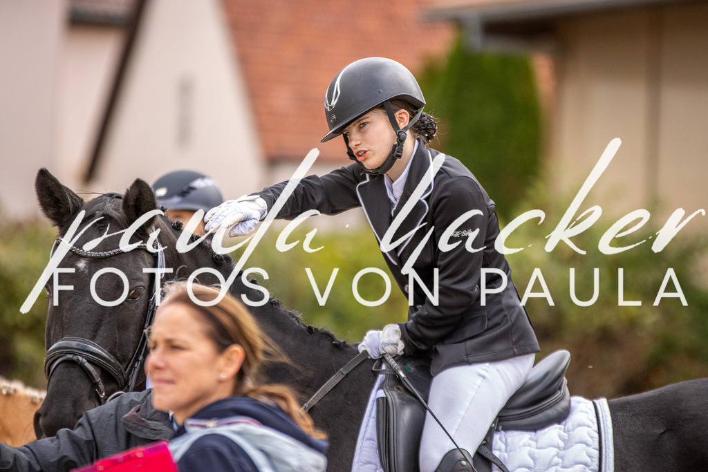 IMG_3731 | Erleben Sie dynamische Sport- und emotionale Tierfotografie in Süddeutschland mit Fotos von Paula. Spezialisiert auf Pferde- und Hundefotografie sowie Sportevents. Kontaktieren Sie mich für einzigartige und ausdrucksstarke Bilder Ihrer besonderen Momente. - Realisiert mit Pictrs.com