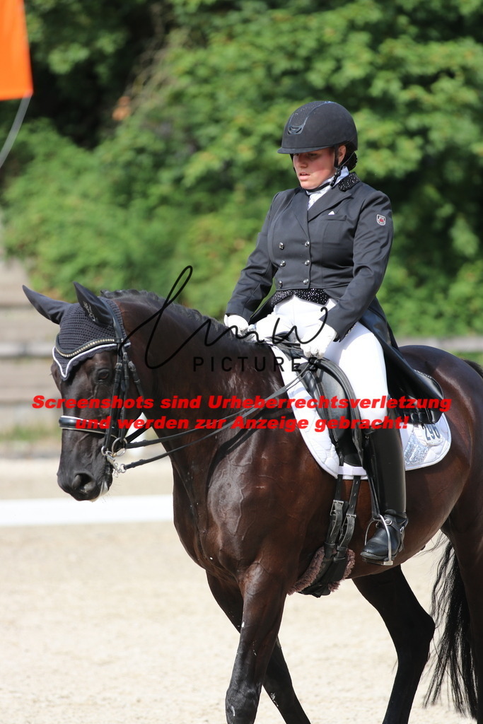 IMG_6772 | lmwpictures - Realisiert mit Pictrs.com