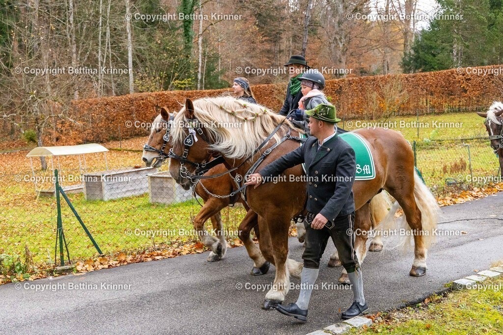 LL25-121 | foto-bettina-krinner - Realisiert mit Pictrs.com