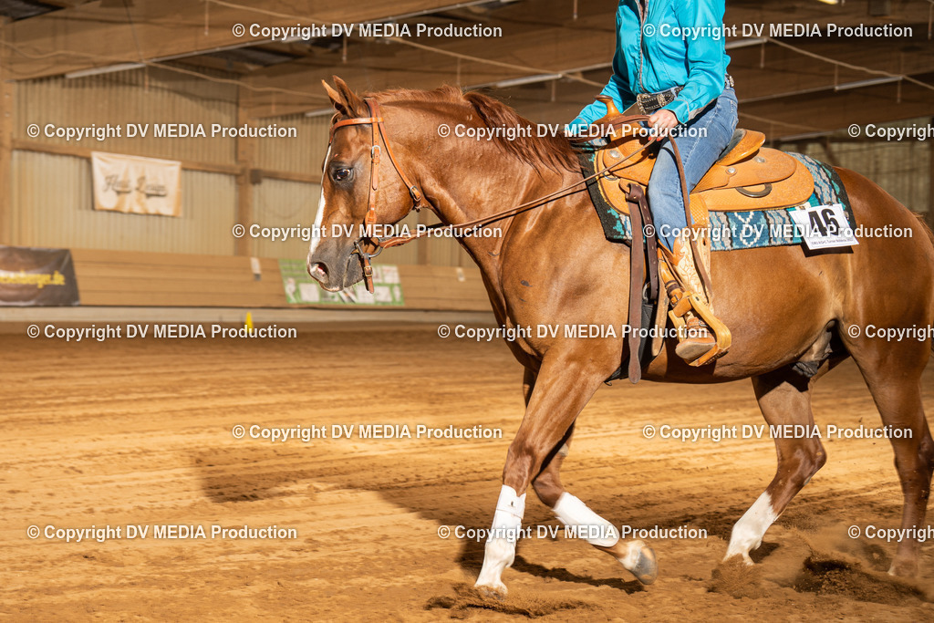 NID03879 | dv-media-shop - Realisiert mit Pictrs.com