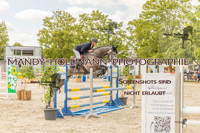 26-7-23 SPR A++-261 | mandyhollmannphotographie