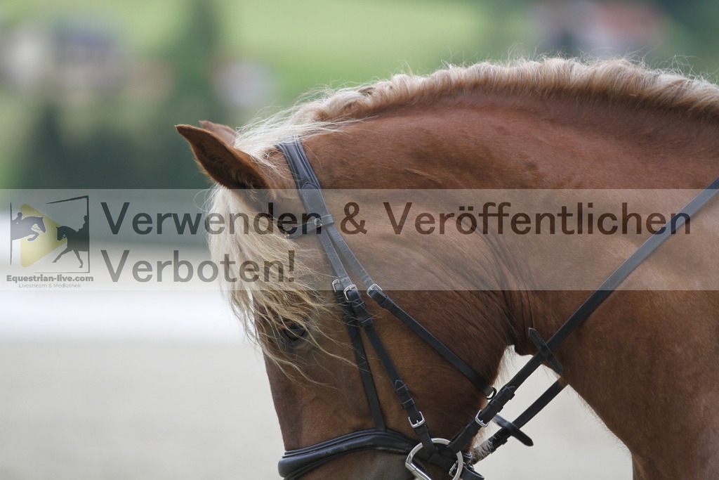 _MG_2938 | equestrian-live-com