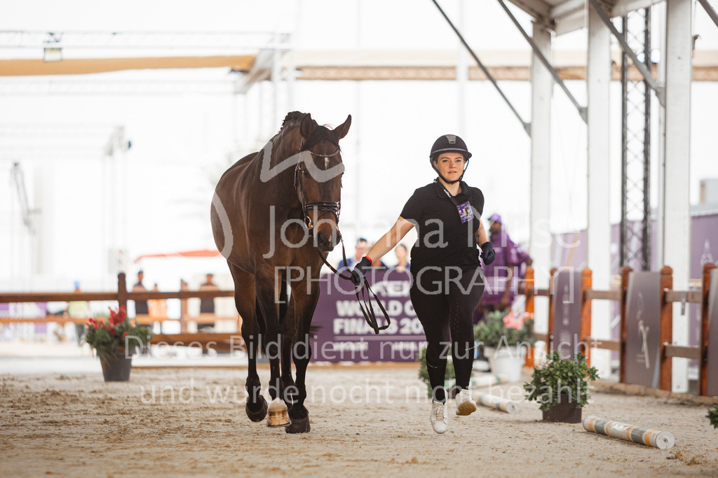 240415_Riyadh_HorseInspection-202 | Deine schönsten Turniermomente als professionelle Fotos! Entdecke hochwertige Pferdesport-Fotografie im Online-Shop. Jetzt Fotos finden & bestellen!