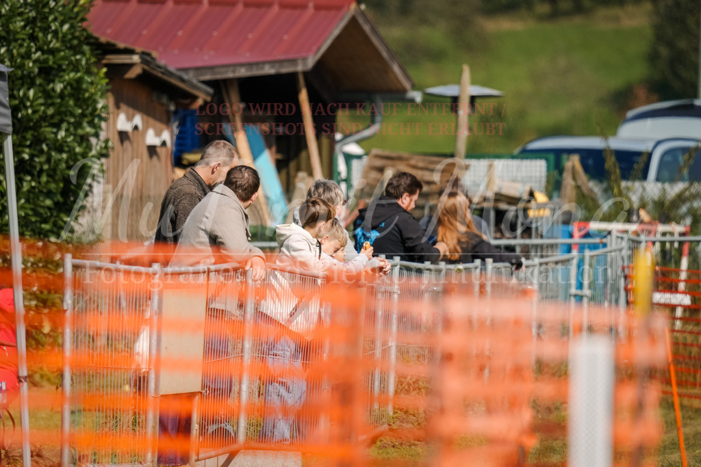 20250928_Hunderennen-397 | MuT (Mensch und Tier) mit Mona - Fotografie und Tierkommunikation - Realisiert mit Pictrs.com