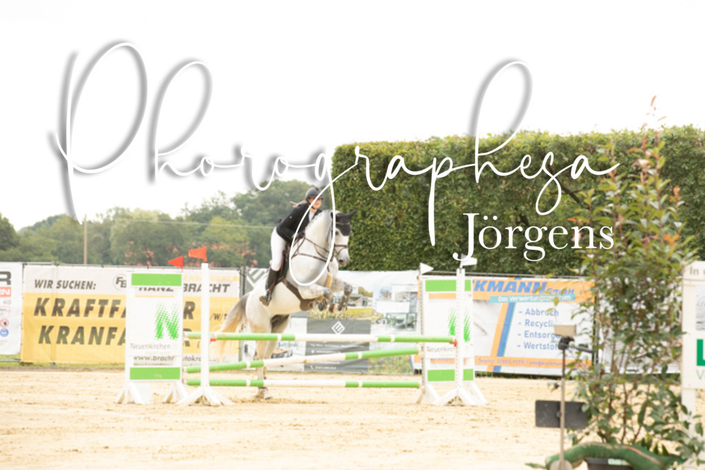 IMG_6558 | photographesa-joergens - Realisiert mit Pictrs.com