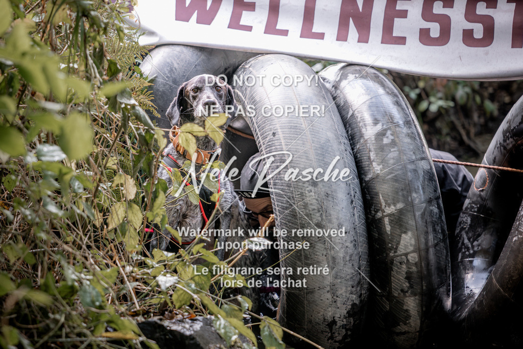 nelerasche_Hunsrück2026_Sa1400-1500_330 | nelerasche