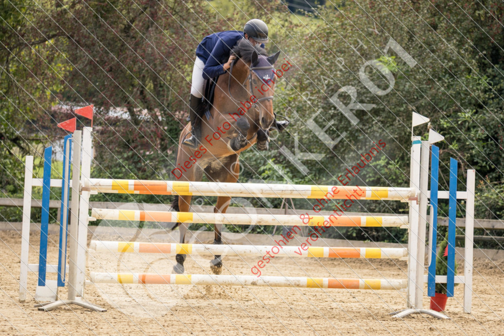 CON_6520 | Sport-, Event- und Tierfotos in Profiqualität. Einfach auswählen, bestellen und herunterladen. Dein Moment – perfekt festgehalten.