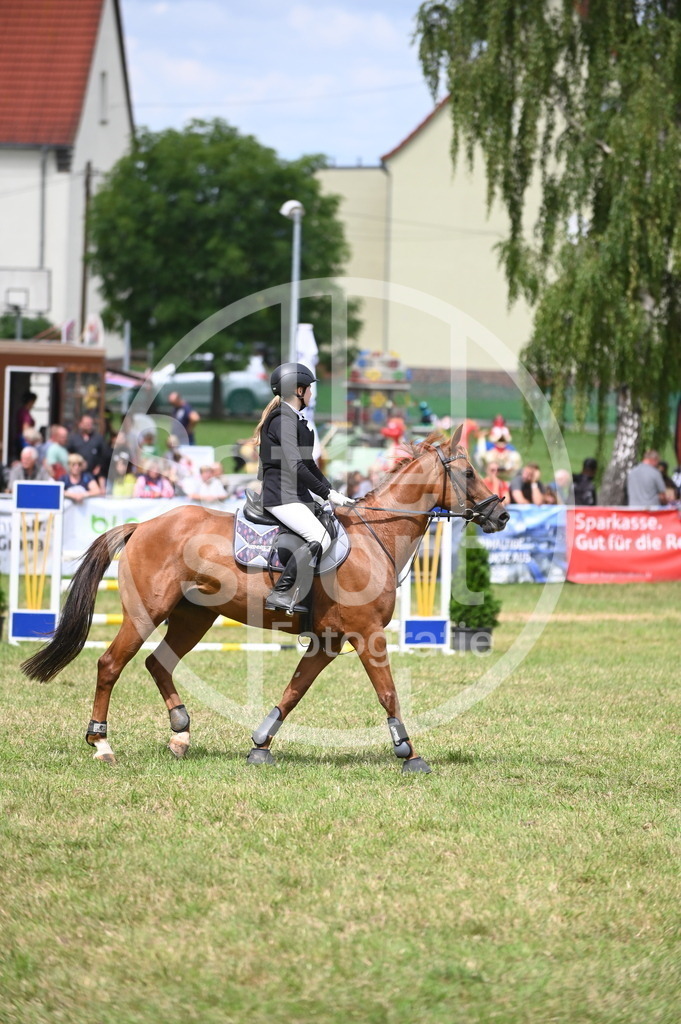 DSC_6369 | sattelsport - Realisiert mit Pictrs.com