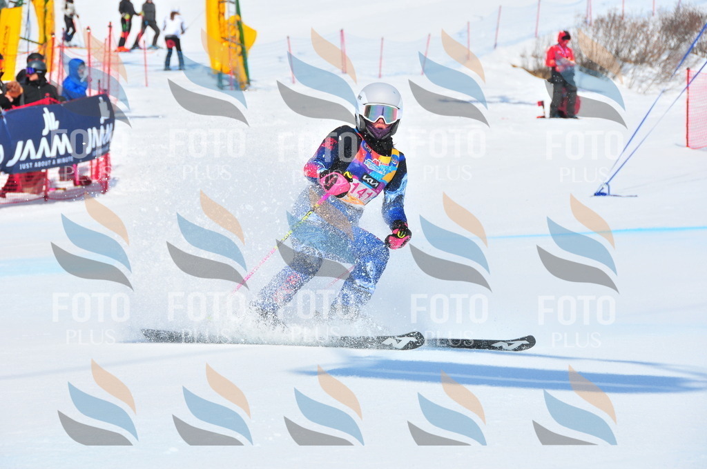 DSC_4986 | holidayphoto