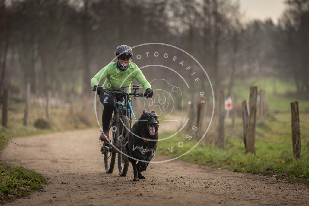 Pfotenfotografie_DV3A1942 | Hundefotografie, Tierfotograf, Pfotenfotografie, Fotoshooting Hund, Hunde Portrait, Hundesport, Hundeportraits, Heideshooting, Hunde, Sportfotograf, Hundefotograf, Turnierhundsport, THS,  - Realisiert mit Pictrs.com