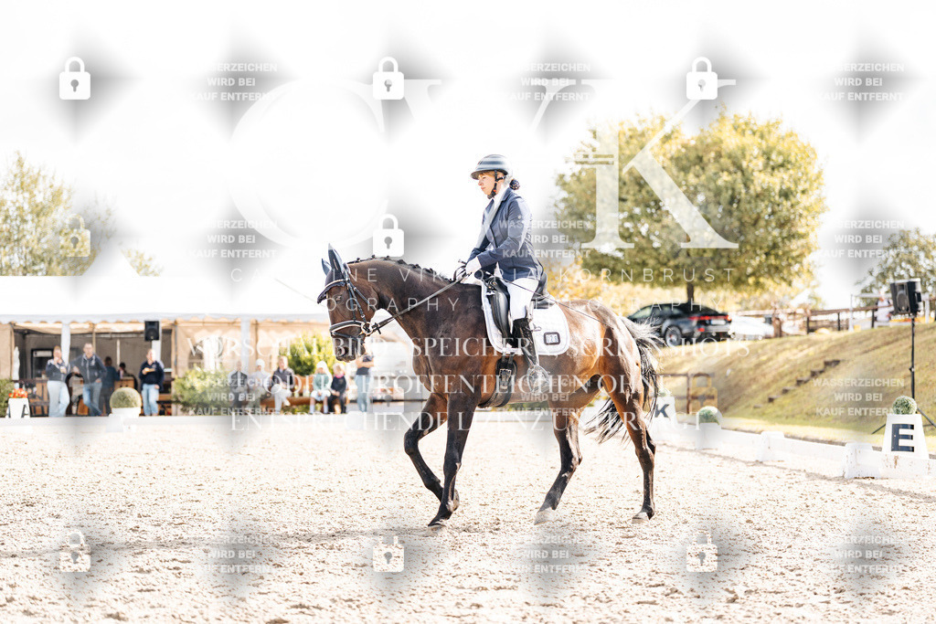 CK901477 | Turnierfotografie Pferdefotografie Trier Rheinland-Pfalz Pferdesport Reitsport Tierfotografie Sportfotografie Pferdevideo Pferdevideografie Equestrianvideography equestrianphotography  - Realisiert mit Pictrs.com
