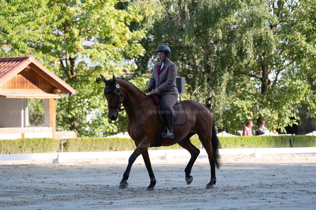 WL_DR_140_sinafilmart_IN05705 | working equitationturnier fotograf videograf stoibphotography marixx film working equitation deutschland reitsport turnierfotografie eventfotografie equestrian events