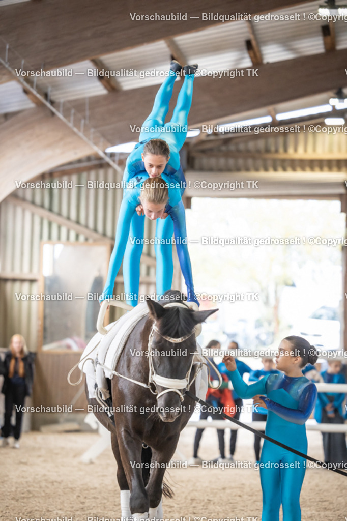 _D5A5047 | Emotionale Pferde- & People-Fotografie rund um Heidelberg, Leimen & Umgebung. Natürliche Fotos von Pferd, Mensch & Familie. Jetzt Termin sichern!