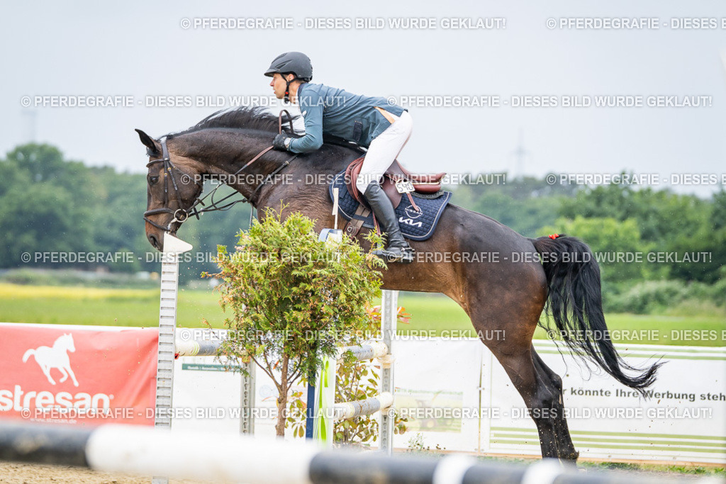 DSC02638 | Pferdegrafie