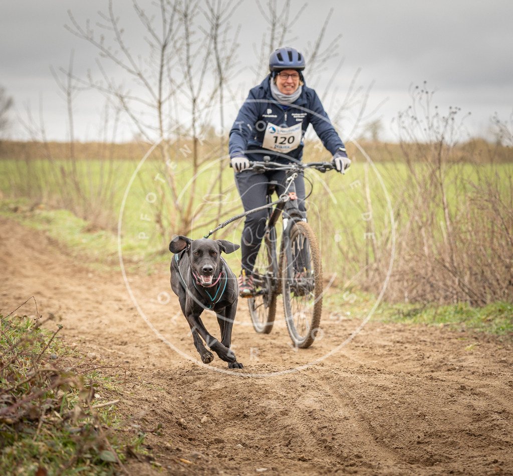 DV3A0928 | Hundefotografie, Tierfotograf, Pfotenfotografie, Fotoshooting Hund, Hunde Portrait, Hundesport, Hundeportraits, Heideshooting, Hunde, Sportfotograf, Hundefotograf, Turnierhundsport, THS,  - Realisiert mit Pictrs.com