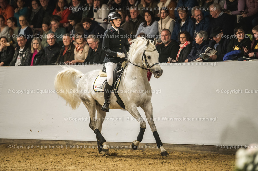 20240302_Hengstvorstellung_Marbach_TOMsPiC_1011 | equistock