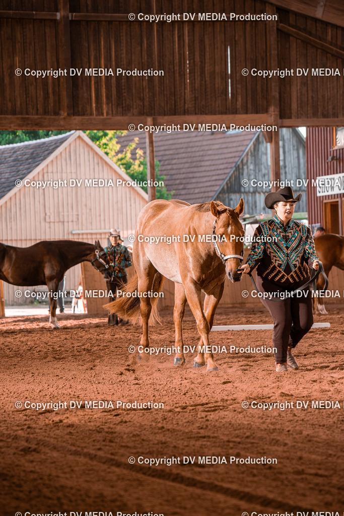 NE100082 | dv-media-shop - Realisiert mit Pictrs.com