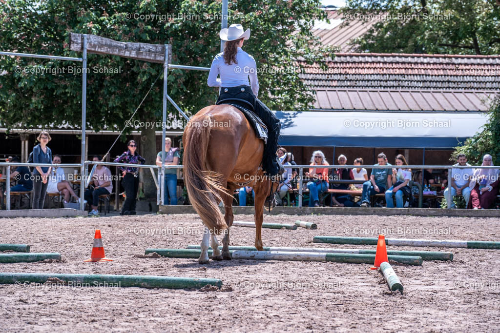 SBS00413 | BS-foto