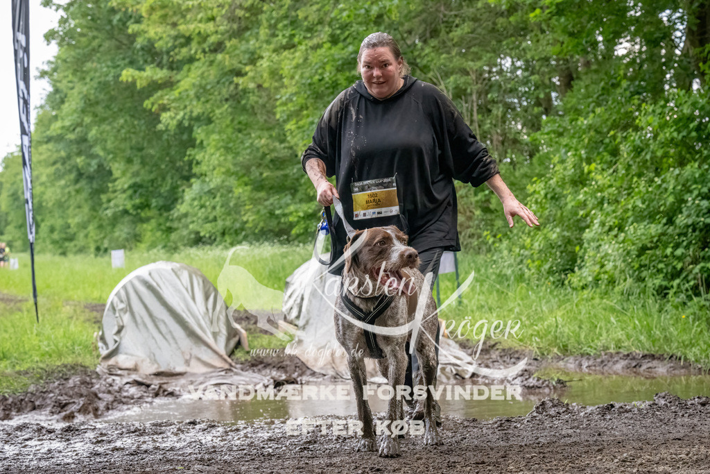 1520_ZZ92894-Bearbeitet | kk-dogfotos