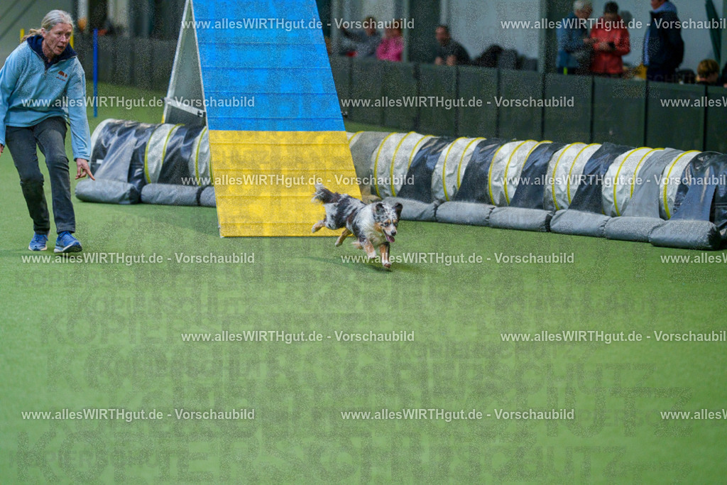 @allesWIRTHgut_Tierfotografie - www.allesWIRTHgut.de - 2604250841-7R507447 | Professionelle Tierfotografie in Mönchengladbach von Daniel Wirth (allesWIRTHgut). Liebevolle & natürliche Bilder von Hunden & Katzen für unvergessliche Erinnerungen.