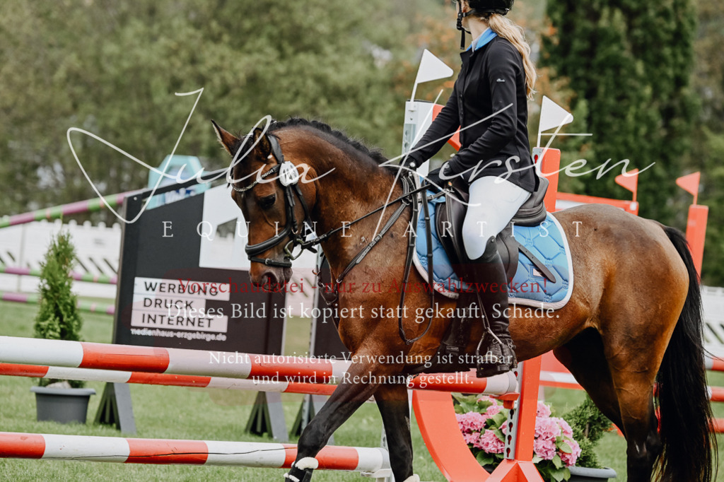 DSC_6752 | Pferde- und Turnierfotografie in Westsachsen. Pferdeportraits, Auftragszeichnungen und intuitive Kunst.