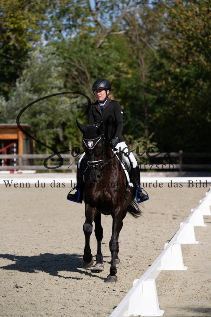 A7V06999 | Turnier/Reitfotograf