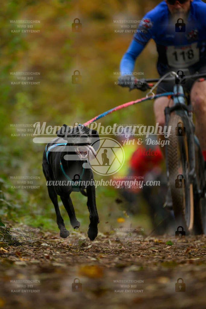 MompixPhotography_Bischwiller24_SA_VTT-32 | PayLife