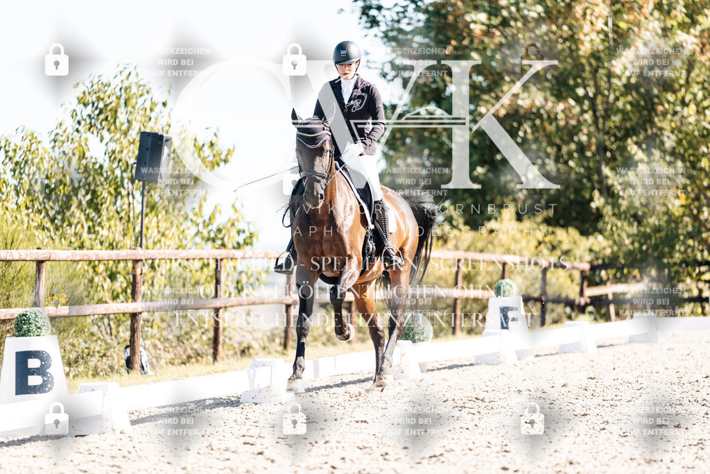 CK908724 | Turnierfotografie Pferdefotografie Trier Rheinland-Pfalz Pferdesport Reitsport Tierfotografie Sportfotografie Pferdevideo Pferdevideografie Equestrianvideography equestrianphotography  - Realisiert mit Pictrs.com