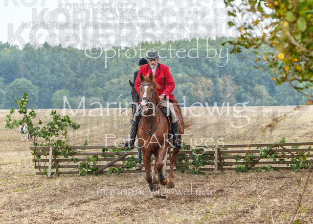 Jagd Perdoel_MarinaHewigMCH04150 | Fotografie, FotoArt, PferdesportArt, Pferdesportfotografie, Landschaftsfotografie, Reisefotografie, Reise, Pferde - Realisiert mit Pictrs.com