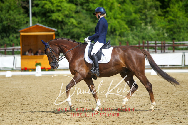 DKP45793 | Turniersportfotografie; Pferdefotografie; Dressurfotografie