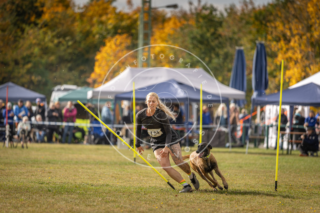 Pfotenfotografie_DV3A7073 | Hundefotografie, Tierfotograf, Pfotenfotografie, Fotoshooting Hund, Hunde Portrait, Hundesport, Hundeportraits, Heideshooting, Hunde, Sportfotograf, Hundefotograf, Turnierhundsport, THS,  - Realisiert mit Pictrs.com
