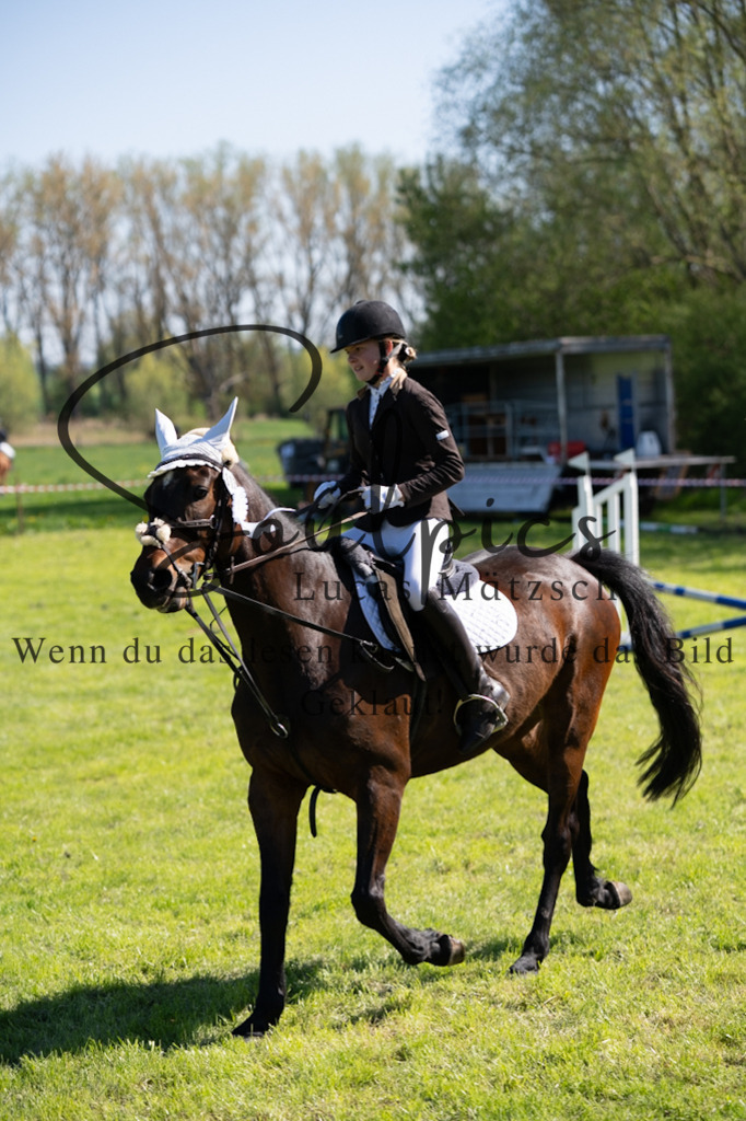 A7V01456 | Pferdefotograf