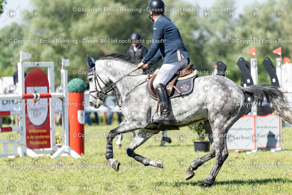 CL5A7591 | Emilia Reinking Fotografie - Realisiert mit Pictrs.com