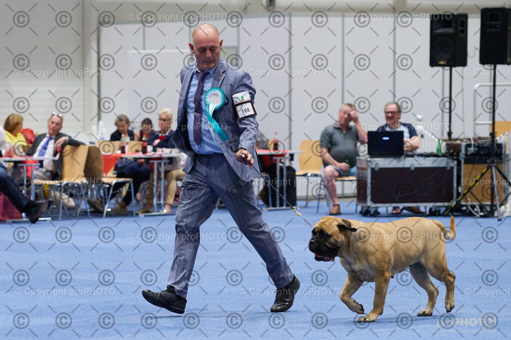 202406_ÖKV-IHA-Tulln24_DSC_2945 | proPHOTO - Realisiert mit Pictrs.com