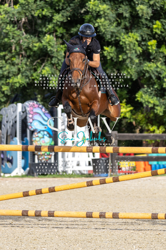 IMG_4364 | s-jay-photography - Realisiert mit Pictrs.com