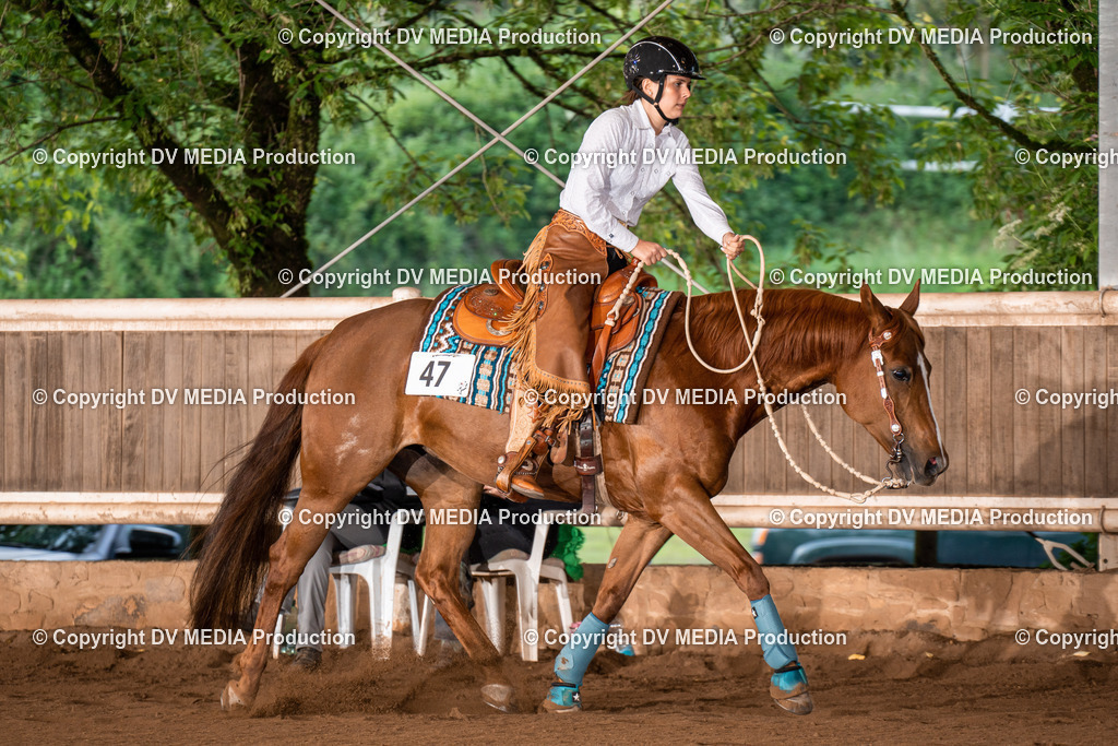 Erbach Tag 4-898 | dv-media-shop - Realisiert mit Pictrs.com