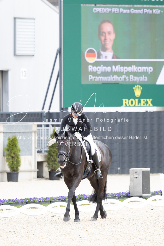 126A1130 | jasminmetznerfotografie